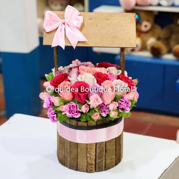 Pozo de Rosas Grande