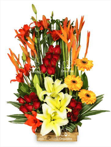 Grupos Florales Premium