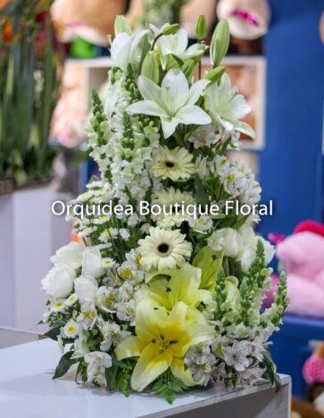 Pie de Caja Estándar