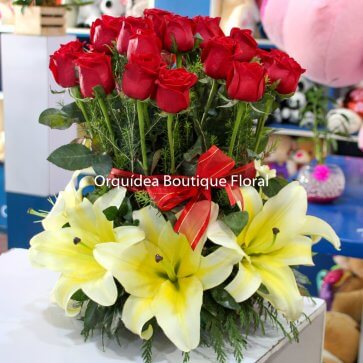 Jardín de 24 Rosas Rojas