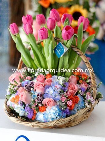 Canasta de Tulipanes Premium