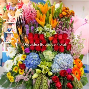 Arreglo de una Vista Premium