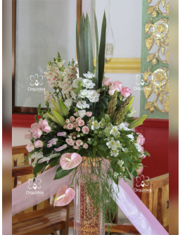 Columna Premium